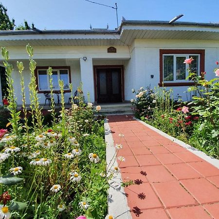 Casa Jeni Villa Humulesti Ngoại thất bức ảnh